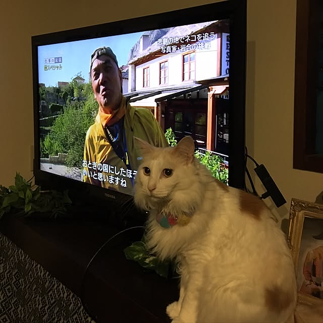 shigimiさんの実例写真