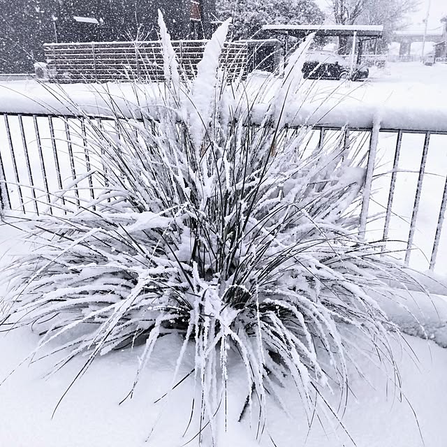 NSDさんの実例写真