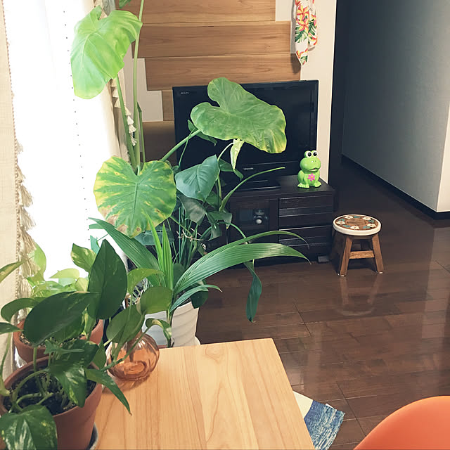 sohanaさんの実例写真