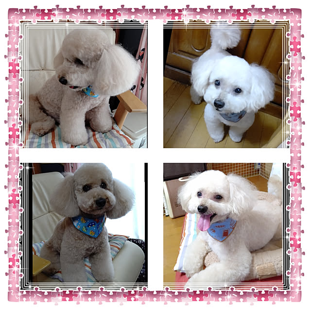 yumirinさんの実例写真