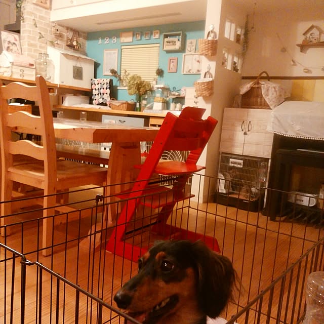ChocolateNandasさんの実例写真