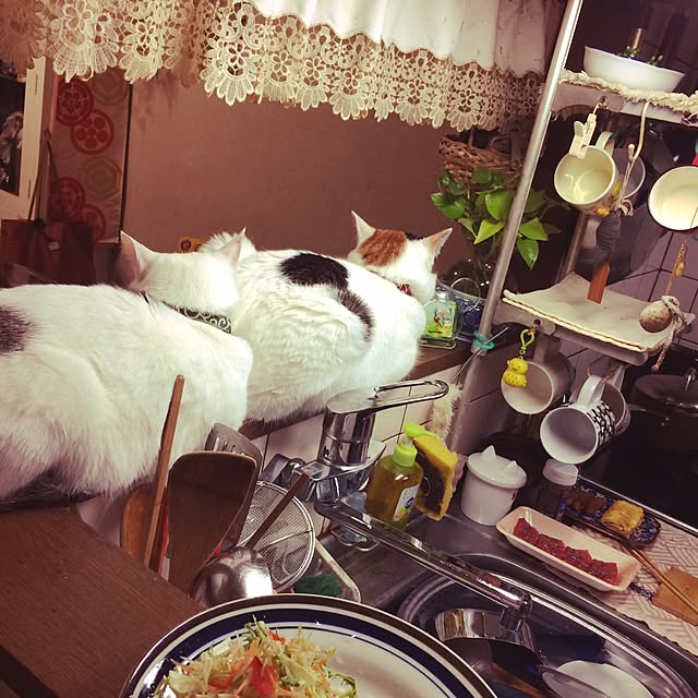 Masamiさんの実例写真