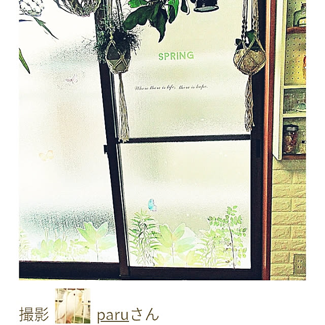 paruさんの実例写真