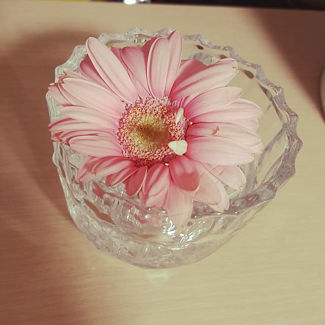 Dayさんの実例写真
