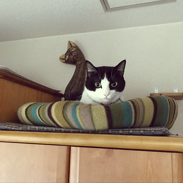 nisannisan39さんの実例写真