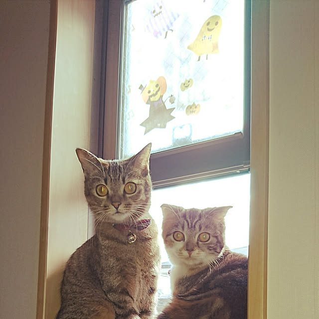 s2s7k7さんの実例写真