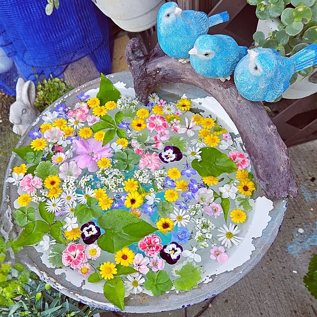 mocomocoさんの実例写真