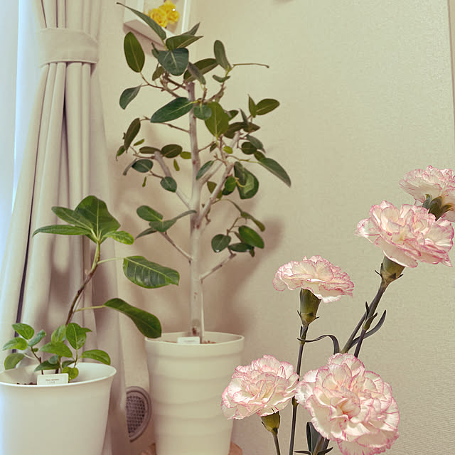 ejroomさんの実例写真