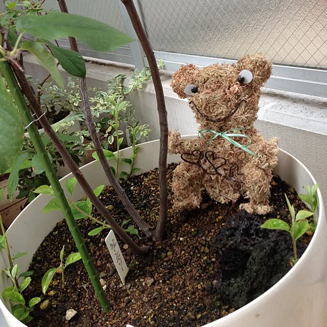 KEROさんの実例写真