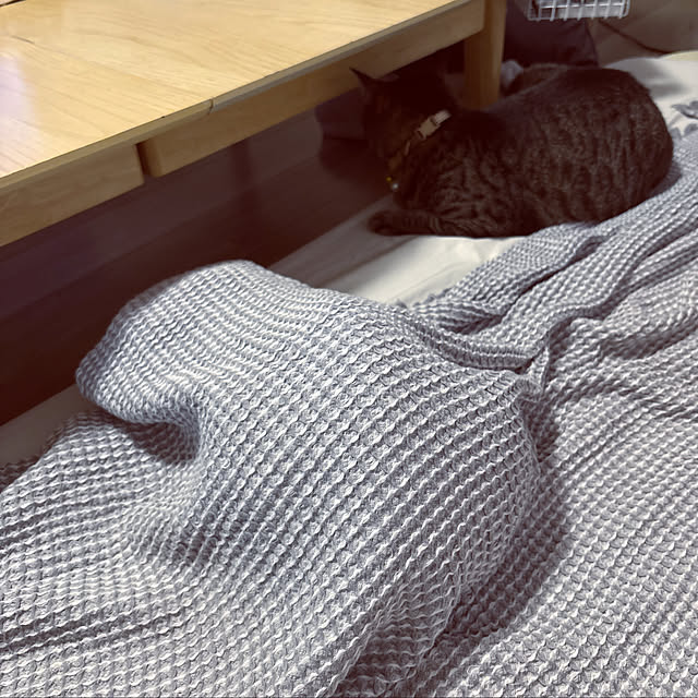 masamasaさんの実例写真