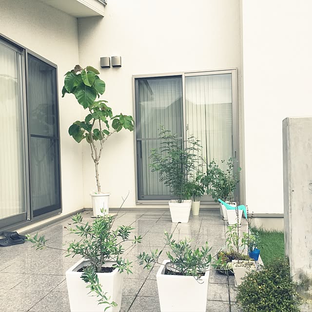 emさんの実例写真