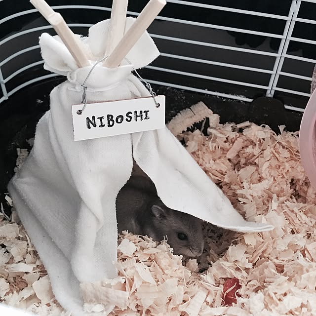 chiiiii0808さんの実例写真
