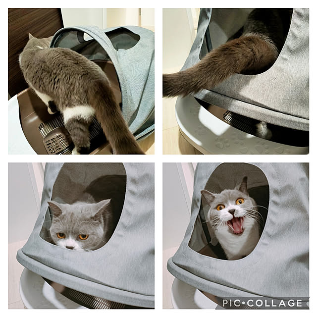 KEIKOさんの実例写真
