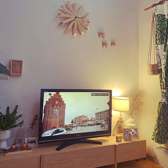 momo7679さんの実例写真