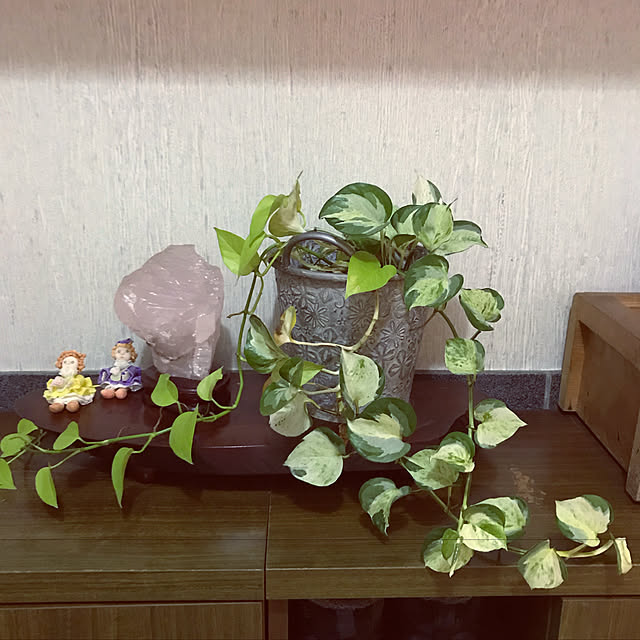 masaco11さんの実例写真