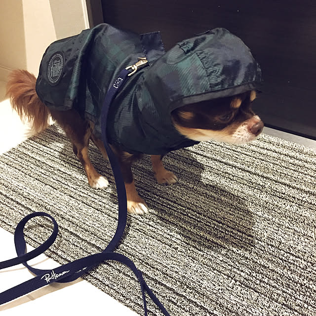 M.H.Lさんの実例写真