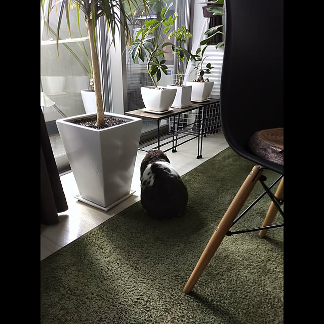 mochidamochioさんの実例写真