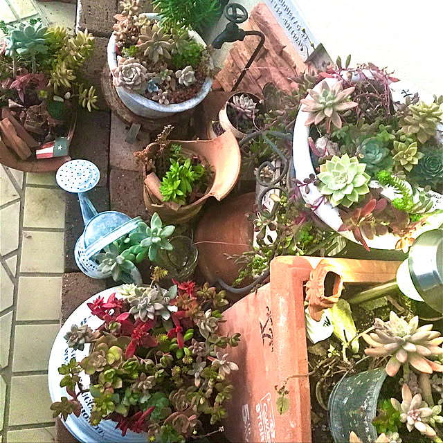 burgundy.roseさんの実例写真