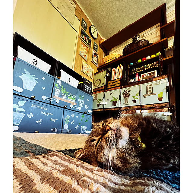 sumoanzuさんの実例写真