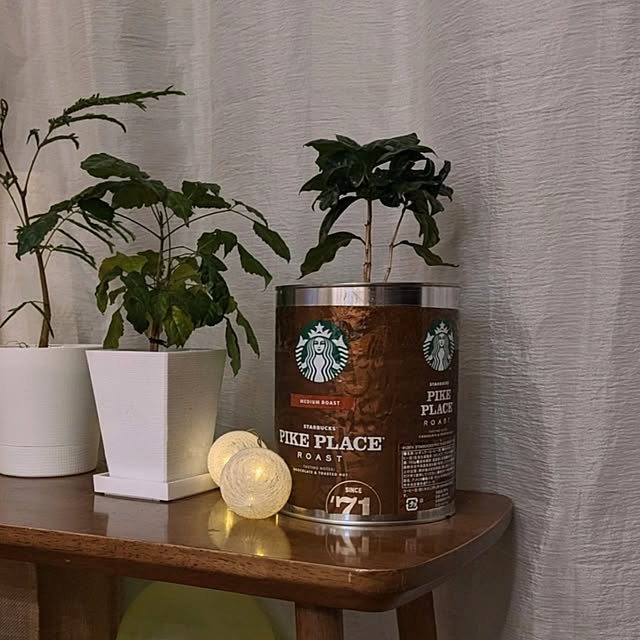 tomatopapaさんの部屋