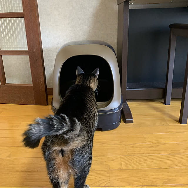 kuromiさんの実例写真