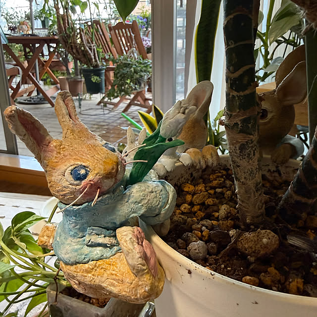 Aqettyさんの部屋