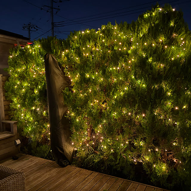 satominさんの実例写真