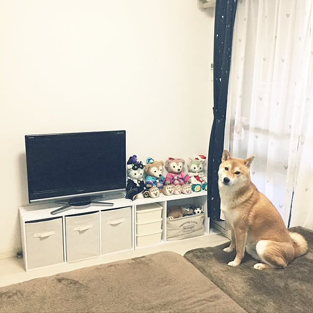 araibaさんの実例写真