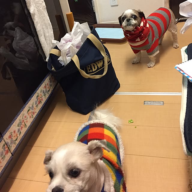 emiさんの実例写真