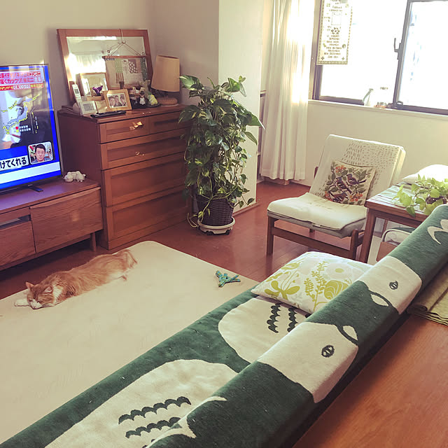 uchidaizuさんの実例写真