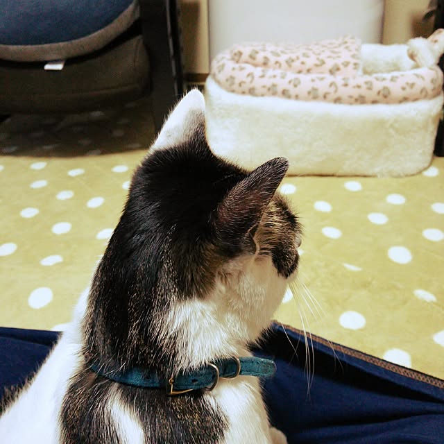 tenさんの実例写真