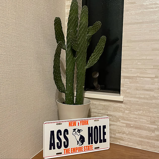 zv_p0さんの実例写真