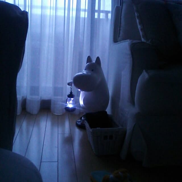 gonさんの実例写真