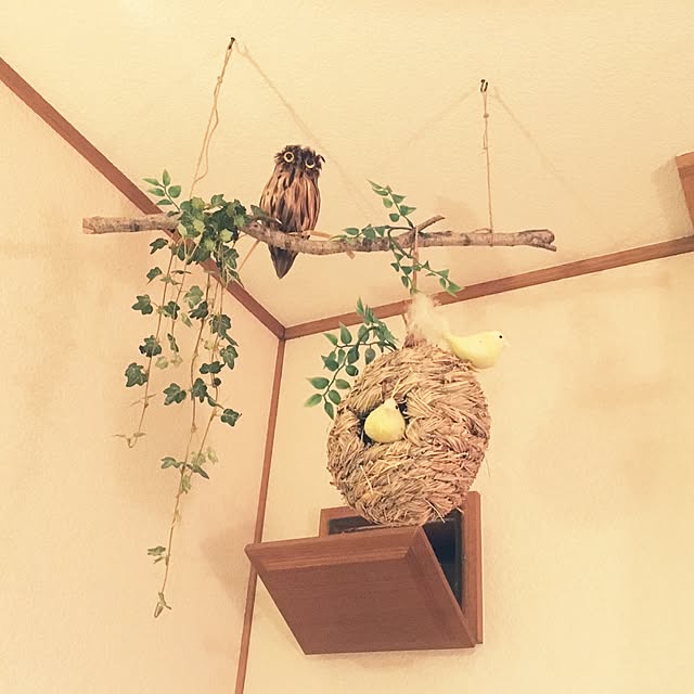 sueさんの実例写真