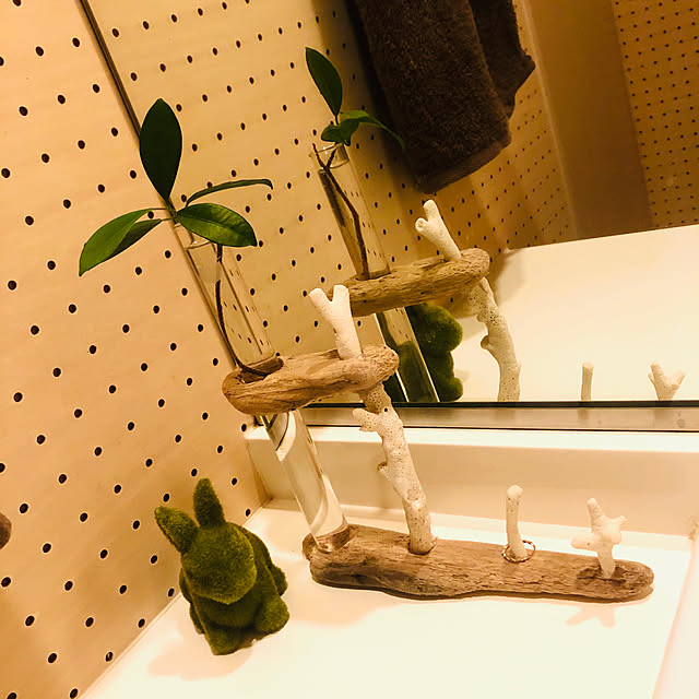 haru_sanさんの実例写真