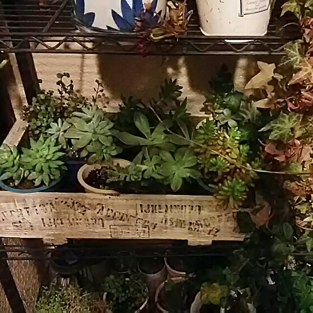 Nashuryueさんの実例写真