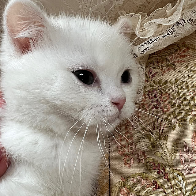AYUKOさんの部屋