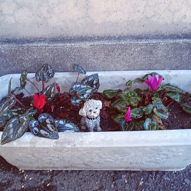 hiro.904さんの実例写真