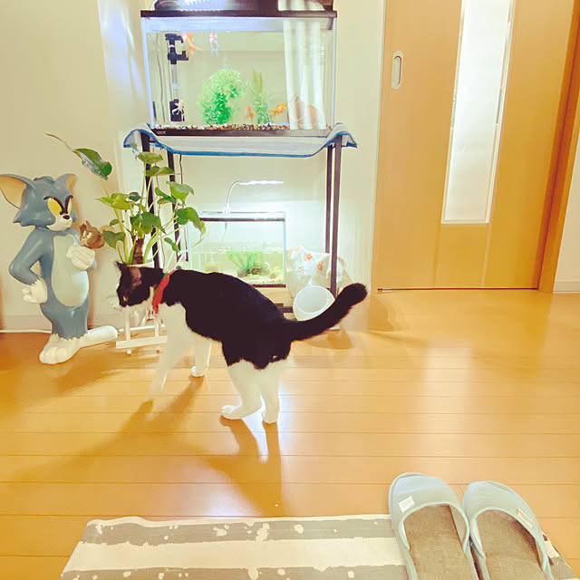 moolさんの実例写真