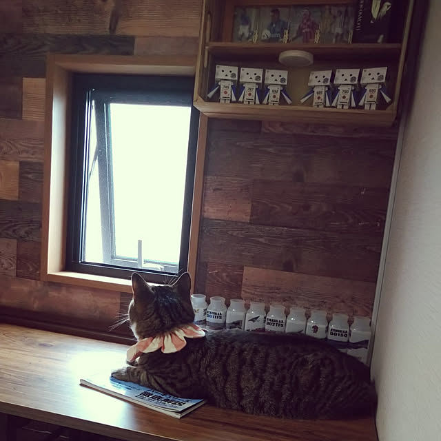 mochicoさんの実例写真