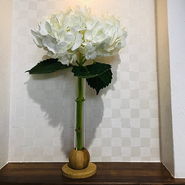 masaさんの実例写真