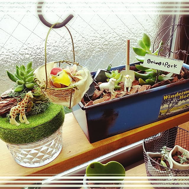 hiromi0302さんの実例写真