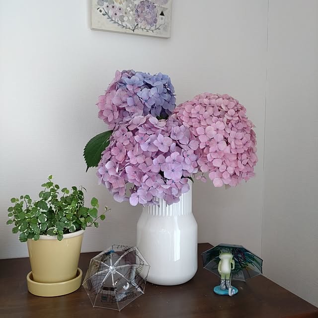 yukaさんの部屋