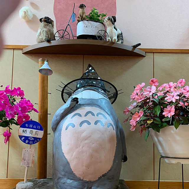 akochanさんの実例写真
