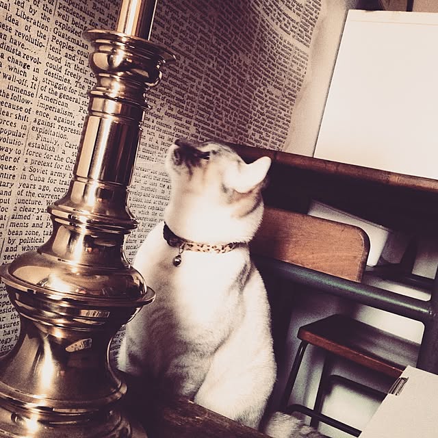 Naoki.さんの実例写真