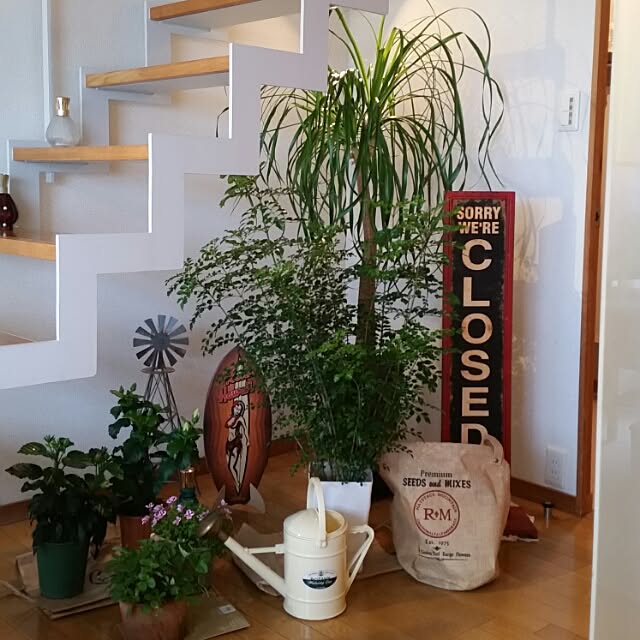 実例写真