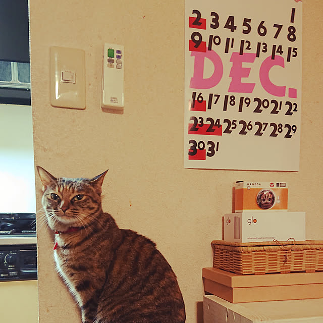tyunaさんの実例写真