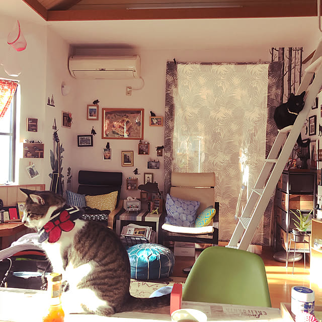 jijiさんの実例写真