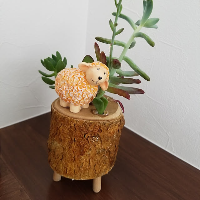 michikone-99さんの実例写真