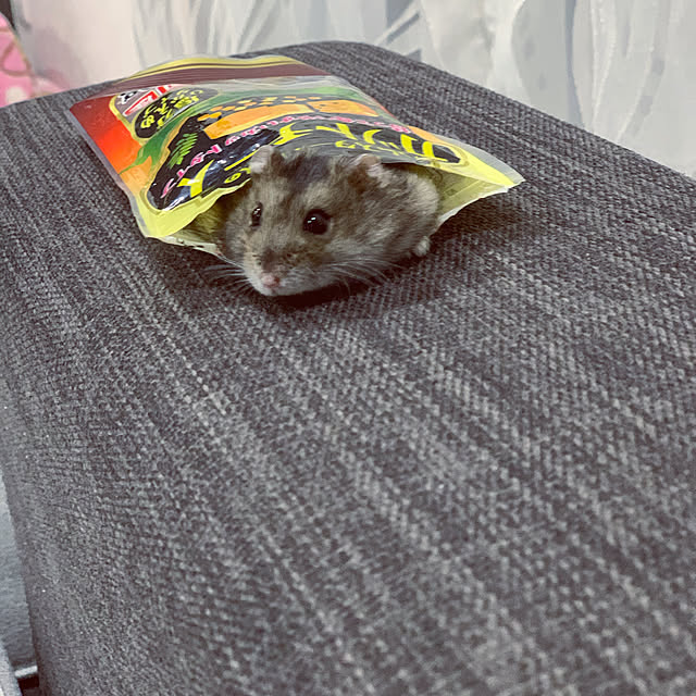 memeさんの実例写真
